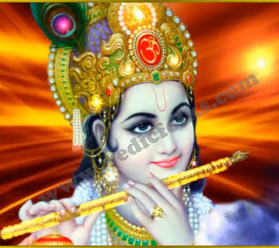 Lord Krishna Homam – Achieving Victory in all Activities - Vedicfolks Blog